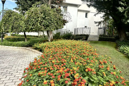 216a819e2df9931bd2f7f3412331d9d2 - 65