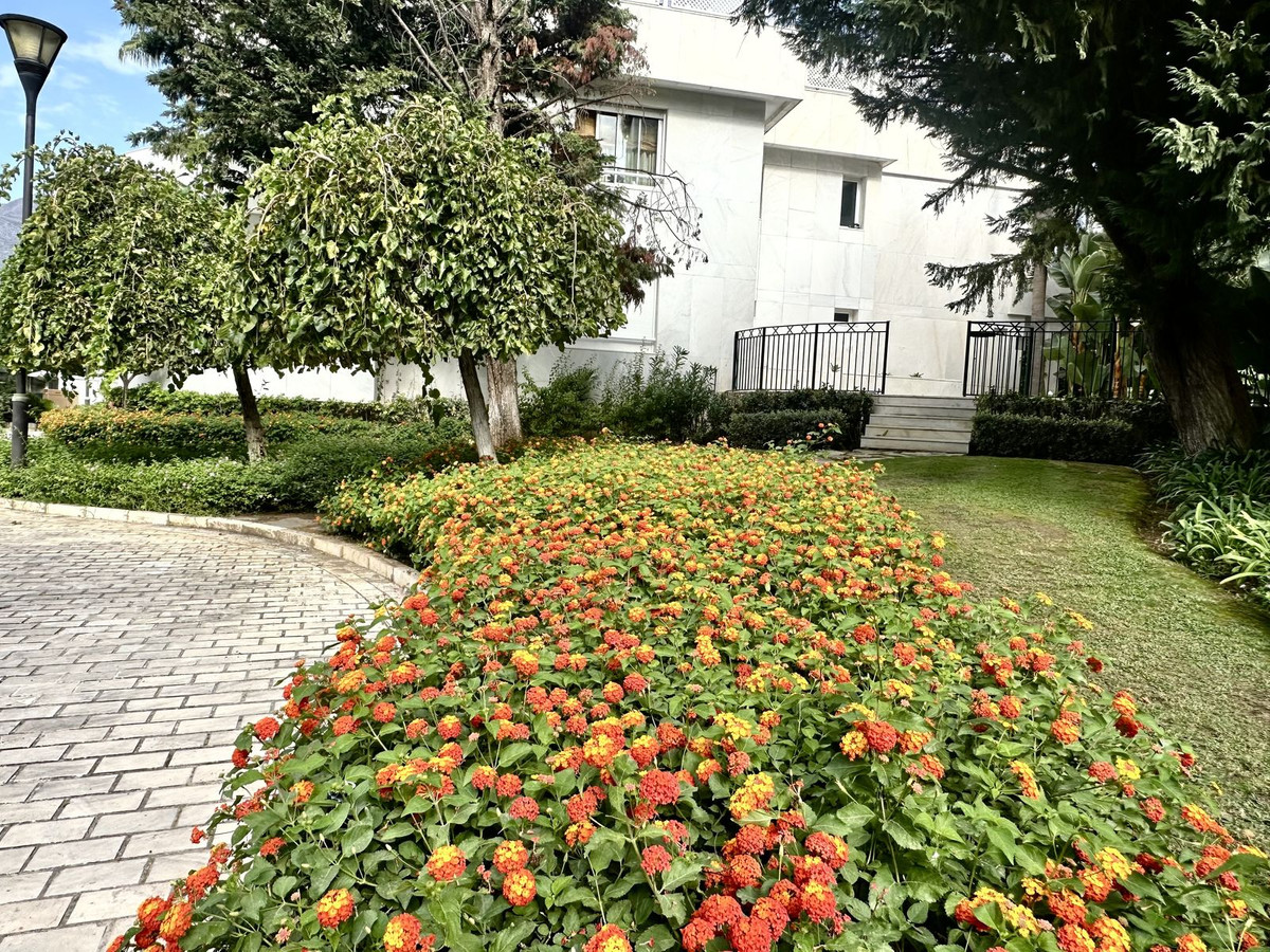 216a819e2df9931bd2f7f3412331d9d2 - 65