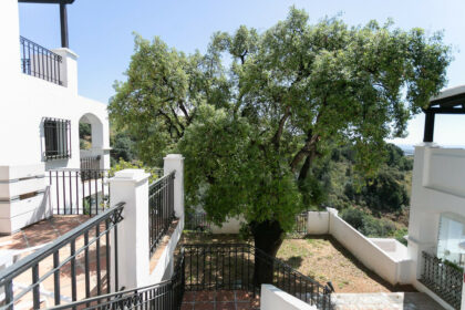 2314cdf3d39df0e04dab8c6d720d81b8 - 53