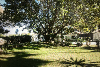 24a594370fa8e4d248d3a93304f8d05c - 4