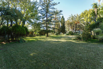 24a594370fa8e4d248d3a93304f8d05c - 5