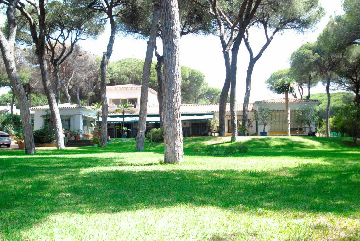 24f18dab6fd1fbf78a7958d7c2980048 - 22