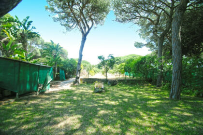 24f18dab6fd1fbf78a7958d7c2980048 - 23