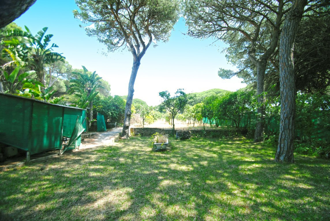 24f18dab6fd1fbf78a7958d7c2980048 - 23