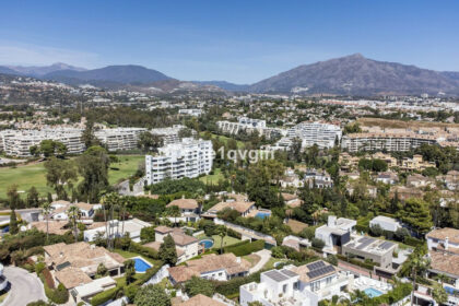 251eeb6e3675fa9dc5552fc7f30e6cf3 - 41