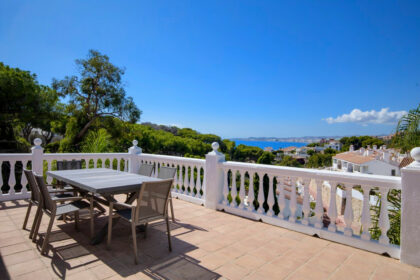 260cc8b086a1280572fa3b611301e54a - 23