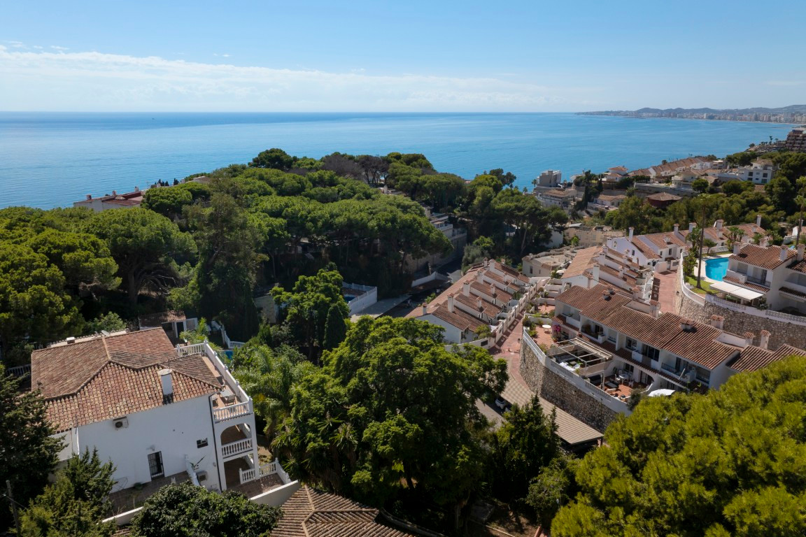 260cc8b086a1280572fa3b611301e54a - 39