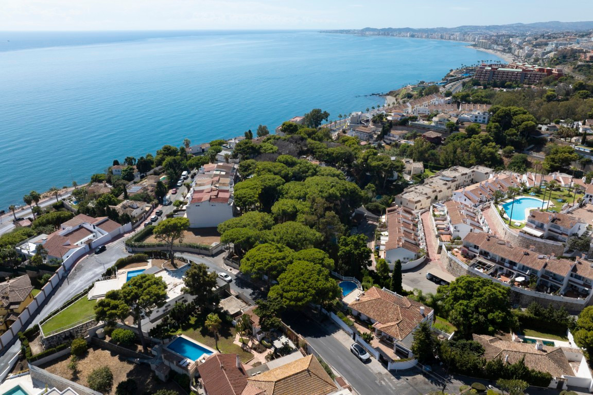 260cc8b086a1280572fa3b611301e54a - 7