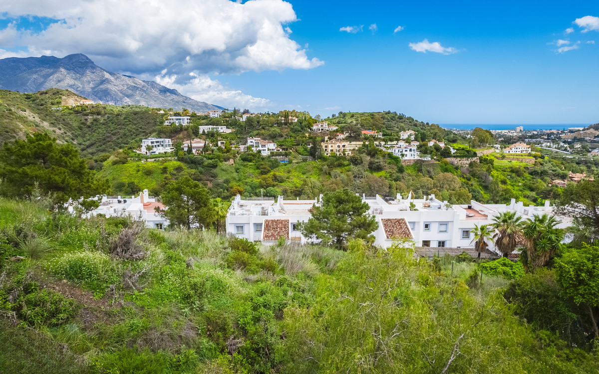 26ae8573b0e9070272fa2ca2806e1867 - 23