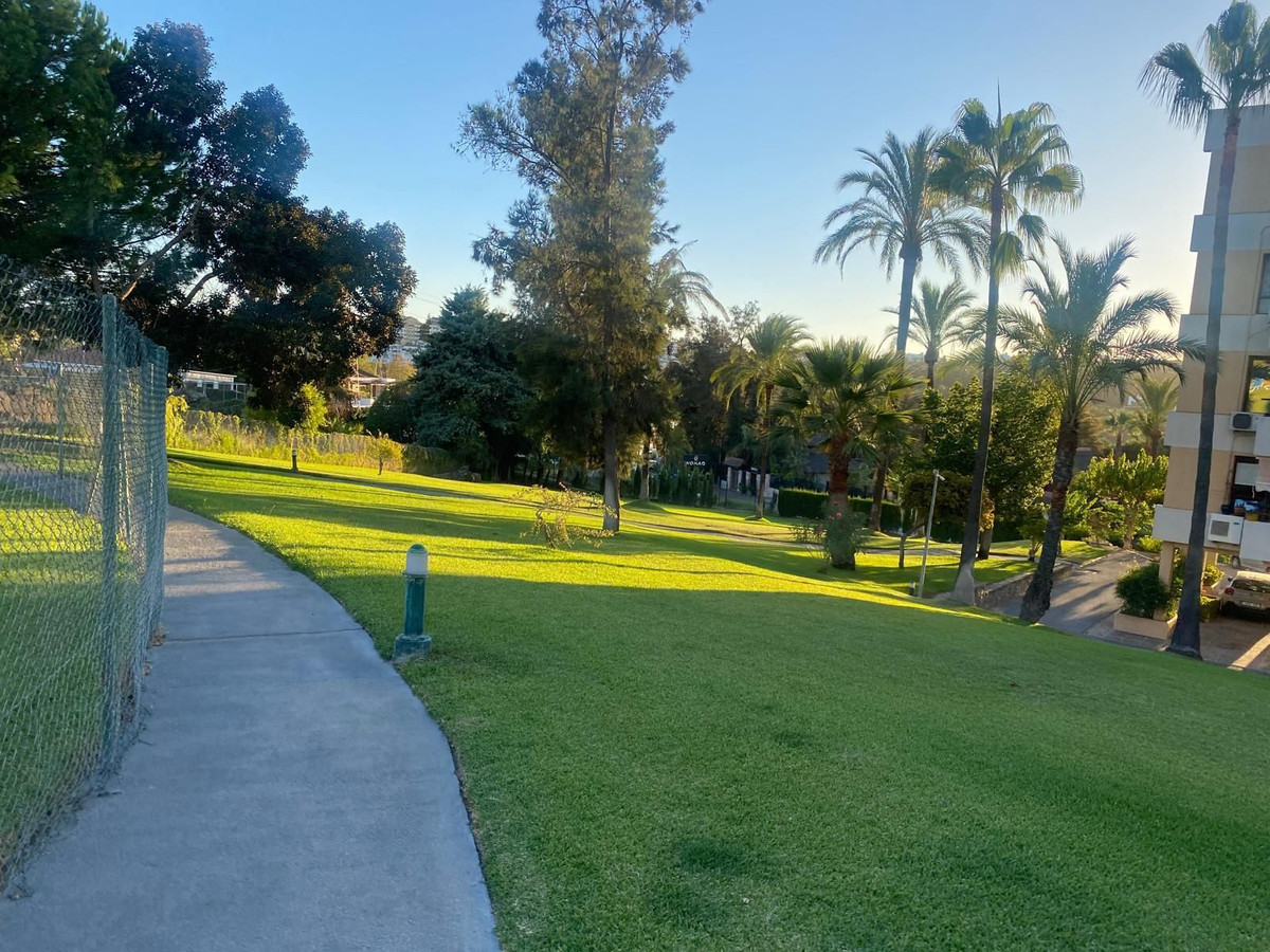 26eb24fdca342437335849adc563012c - 14