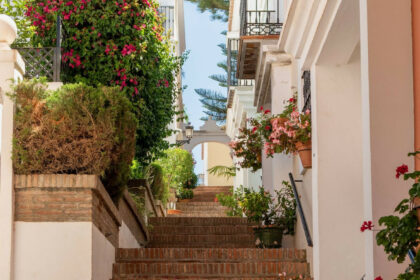 276edb084ed922ea4b458b4db0b3a27c - 26