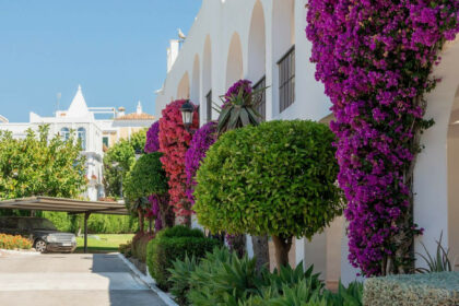 276edb084ed922ea4b458b4db0b3a27c - 8