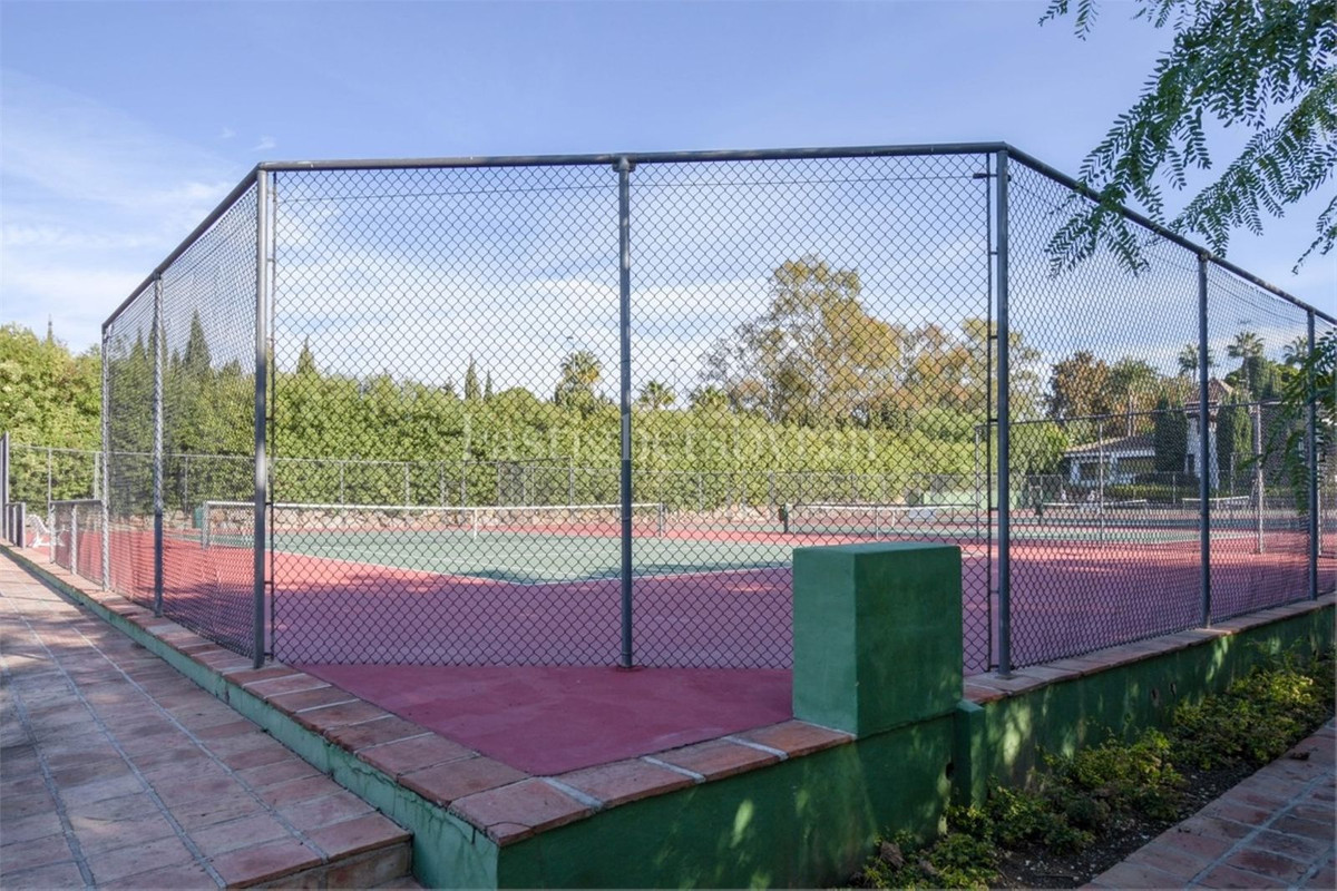 2a9d3a20d6355e157431c455aa7a0aa6 - 29