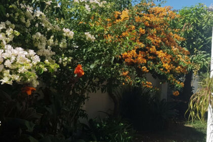 2aa7be5f2a2e08389cc667f26945c039 - 5