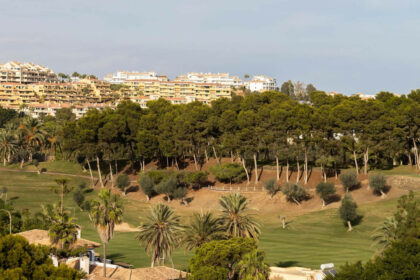 2ad706d0308aa10bb8f6edf013e67f9c - 29