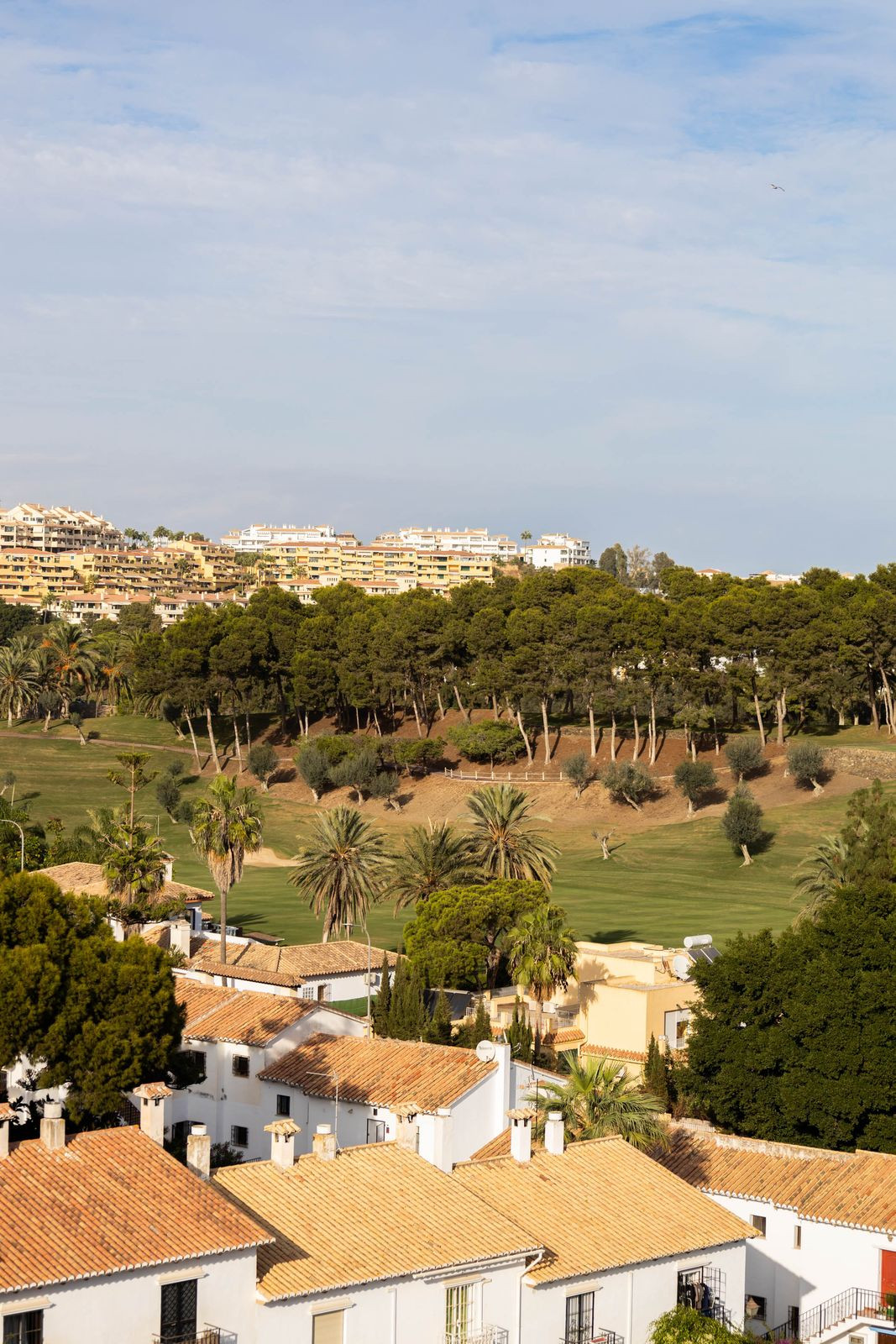 2ad706d0308aa10bb8f6edf013e67f9c - 29