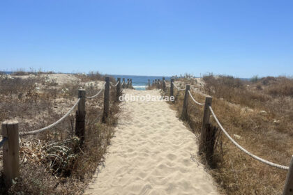 2ba9afe51884e1cbcbec897971f4df99 - 47