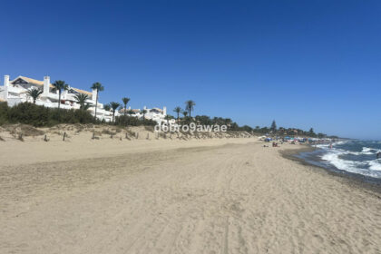 2ba9afe51884e1cbcbec897971f4df99 - 50