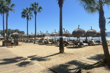 2ba9afe51884e1cbcbec897971f4df99 - 52