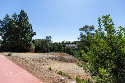 2c76a616c46e24c0f88bc04528143f72 - 8