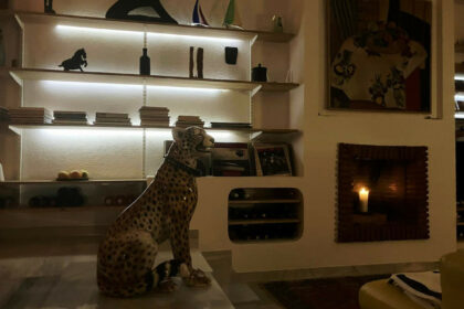 2fd6281de28354fc2dde53206d6d0c2c - 15