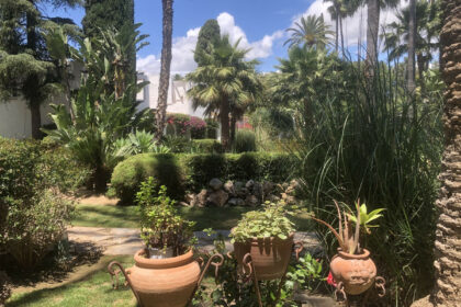 30b0f455b2e63aa04062ca53a884efc4 - 12