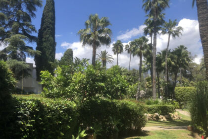 30b0f455b2e63aa04062ca53a884efc4 - 13