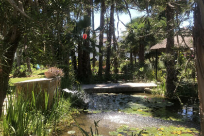 30b0f455b2e63aa04062ca53a884efc4 - 7