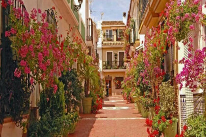 333065cae973fef5659847d5a9470905 - 40