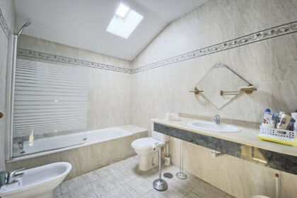 3353344fc63d4765dbd5292f432b6163 - 29