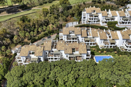 3353344fc63d4765dbd5292f432b6163 - 31