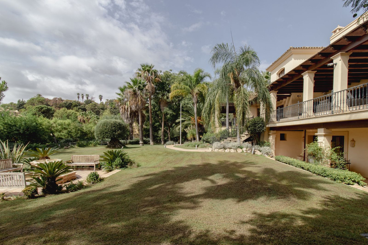 33d739a6537459cddfa71b7c4e7077c4 - 24