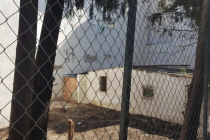 341c66a1b72f1ed2db5b4fc8edf467bf - 2