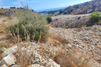 35addc2580759c62837e9653578b00e1 - 5