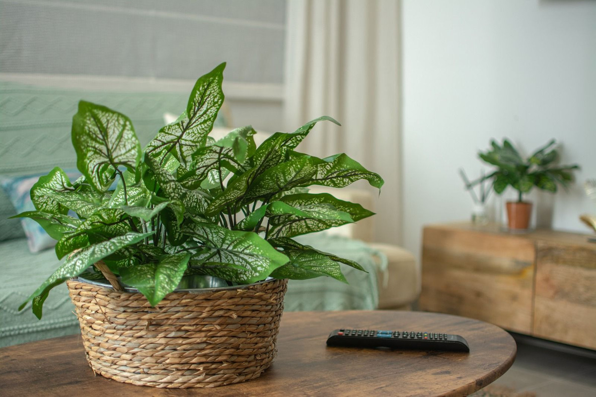 35b52291c96e73ba9dd6e38b6435995e - 13