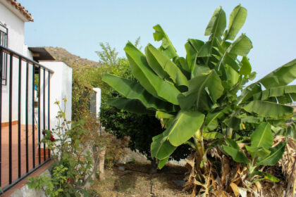 35d224659d80d92fa6411d3d5c190506 - 29