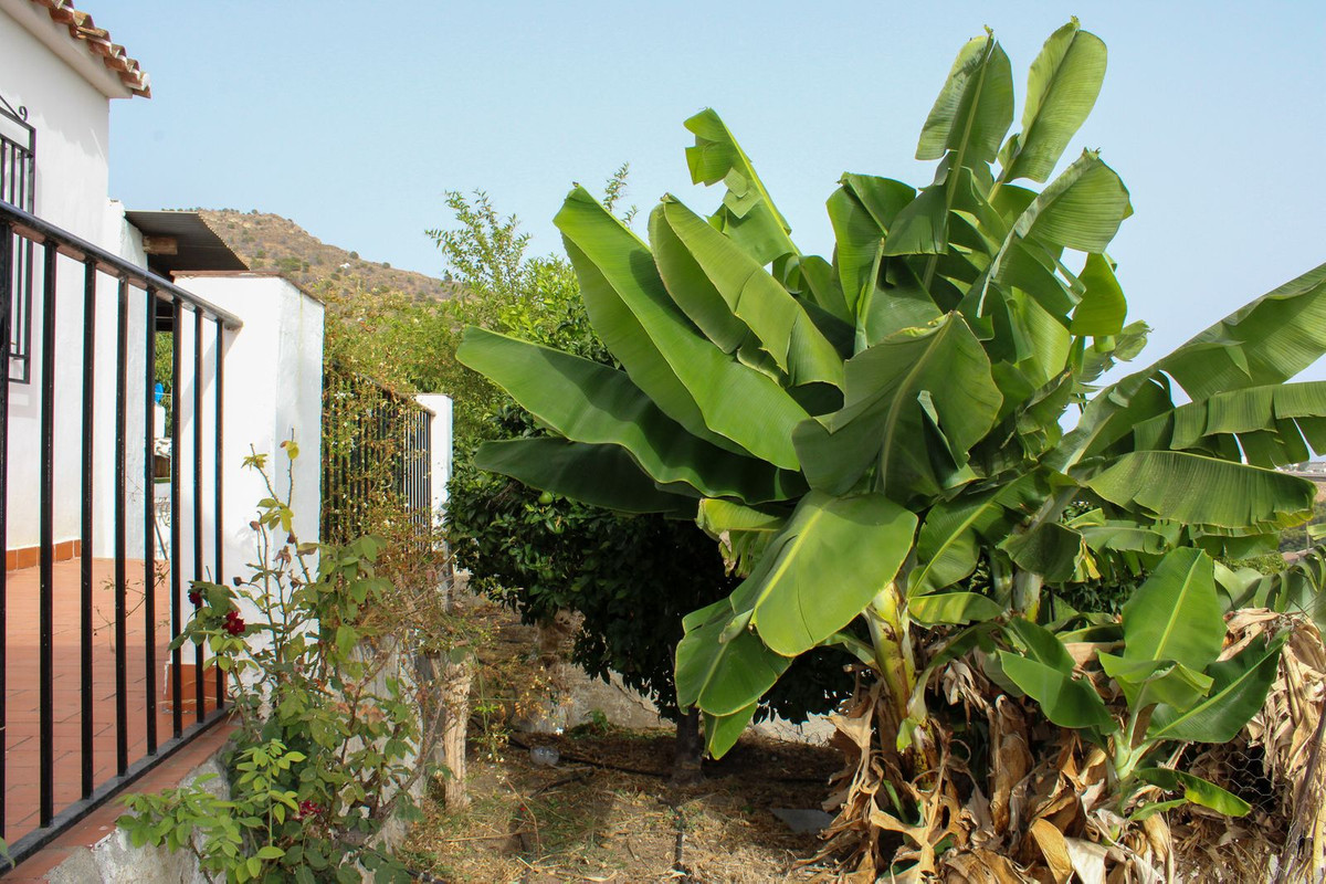 35d224659d80d92fa6411d3d5c190506 - 29