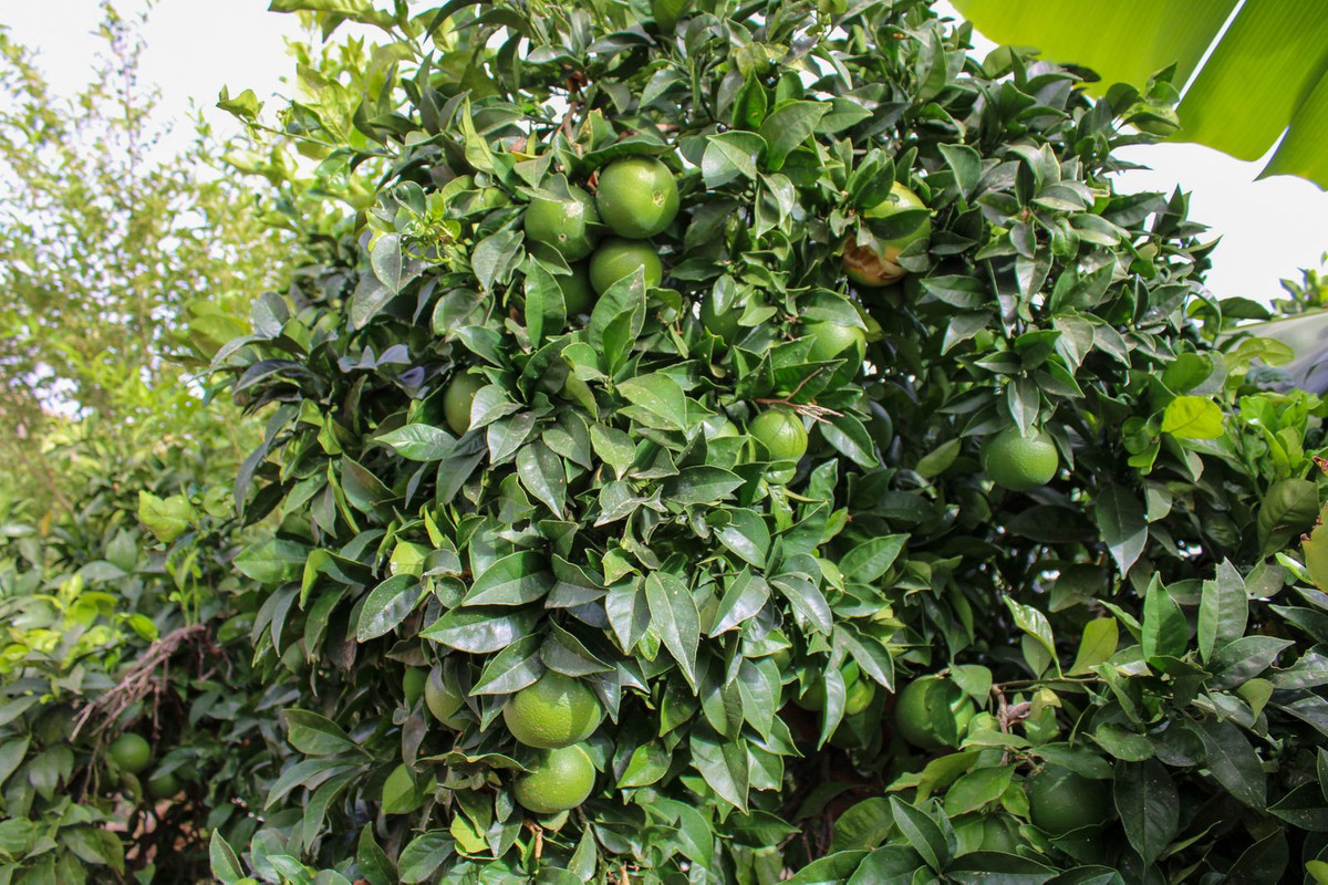 35d224659d80d92fa6411d3d5c190506 - 30