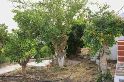 35d224659d80d92fa6411d3d5c190506 - 31