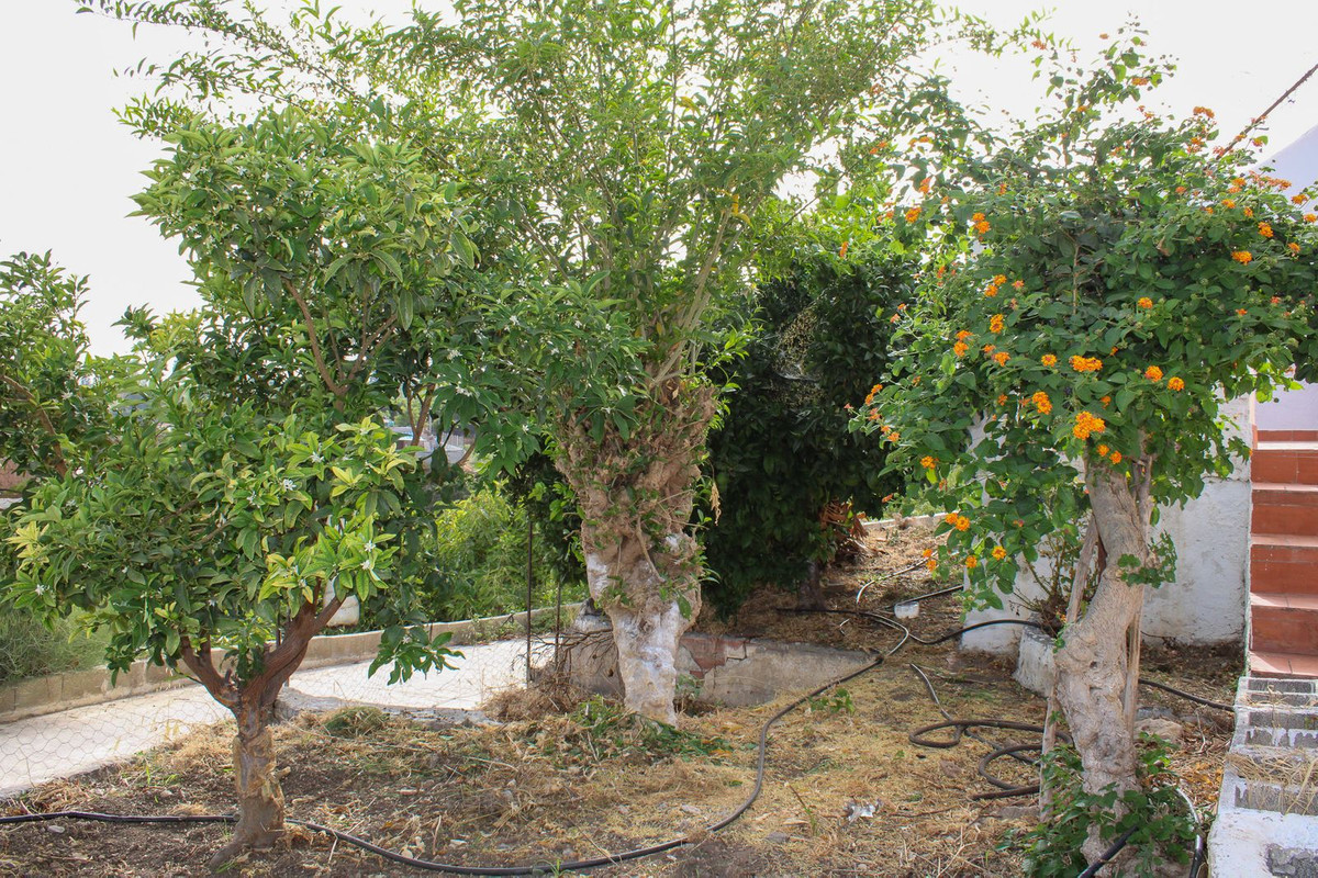 35d224659d80d92fa6411d3d5c190506 - 31