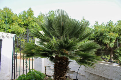 35d224659d80d92fa6411d3d5c190506 - 34