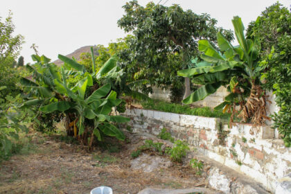 35d224659d80d92fa6411d3d5c190506 - 43