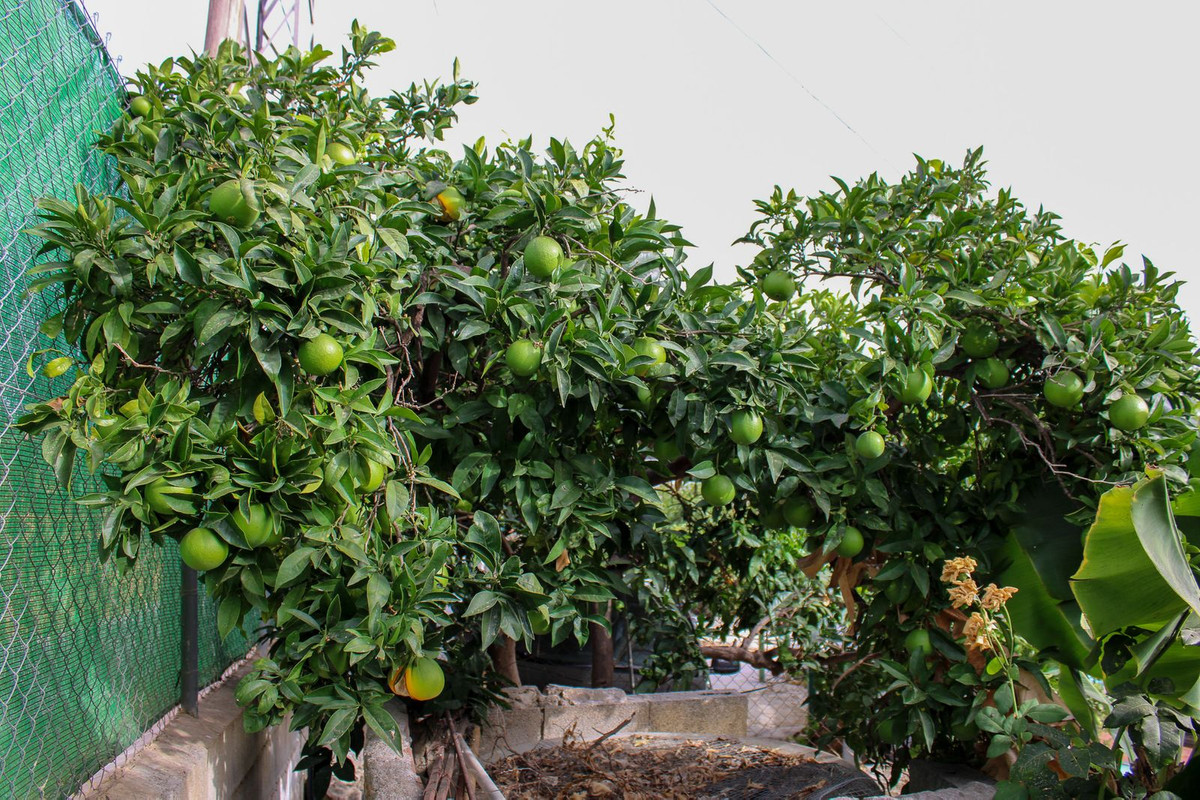 35d224659d80d92fa6411d3d5c190506 - 44