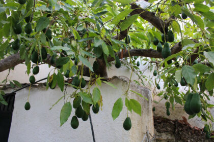 35d224659d80d92fa6411d3d5c190506 - 45