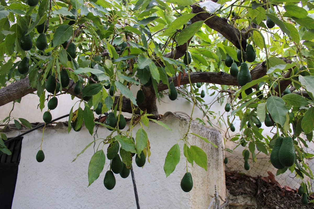 35d224659d80d92fa6411d3d5c190506 - 45