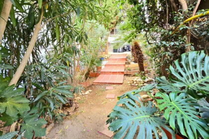 360b49150e503c0021e7d213cb142204 - 15