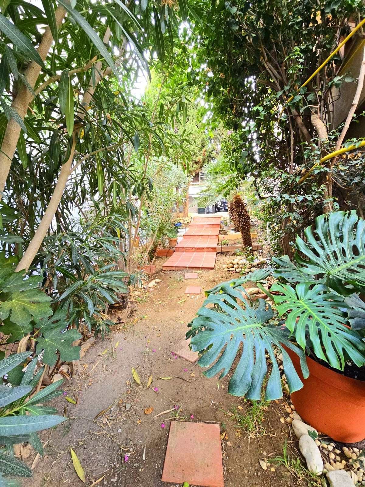 360b49150e503c0021e7d213cb142204 - 15