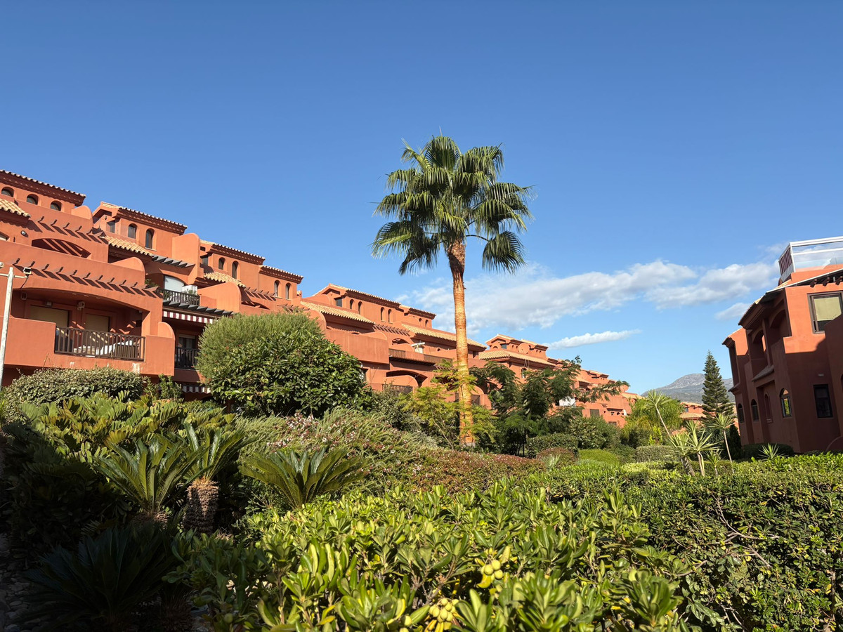 374eb39c962574276546b90f99c723d8 - 3