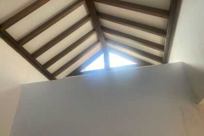 38e838c01a1cf932838a64b842251541 - 12