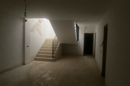 38e838c01a1cf932838a64b842251541 - 13